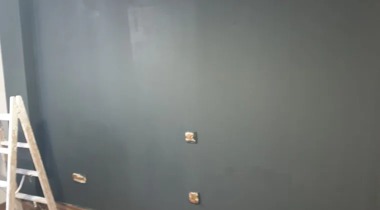 Revisión y entrega | Pintura Mario