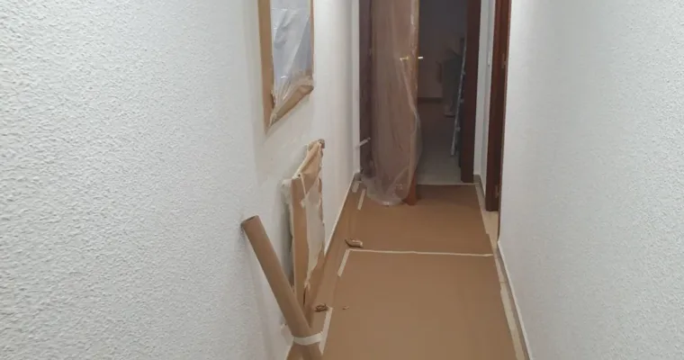 Trabajo de pintura de Pinturas Mario en Colmenarejo