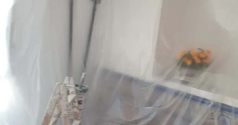 Trabajo de pintura de Pinturas Mario en Hoyo de Manzanares